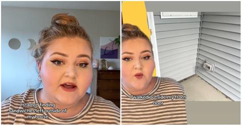 The Sandwich Menace TikTok