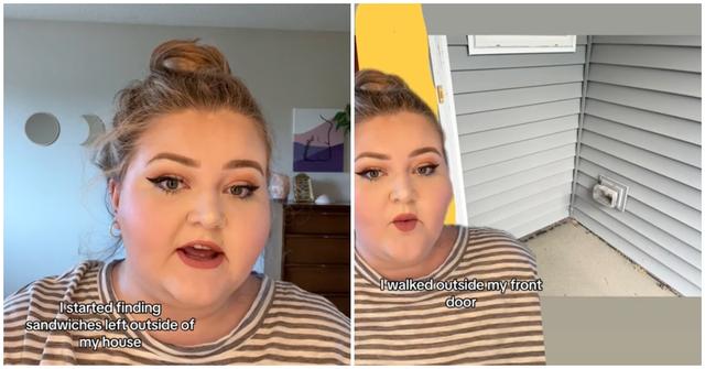 The Sandwich Menace TikTok