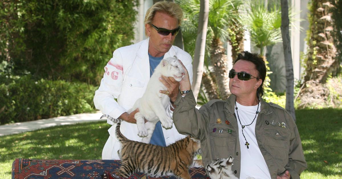 what happened to siegfried and roy tigers