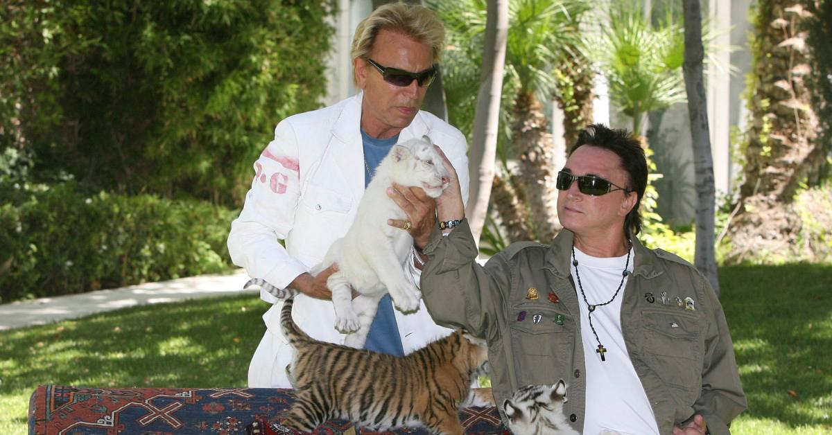 What Happened to Siegfried and Roy Tigers? Details on Vegas Duo’s Cats