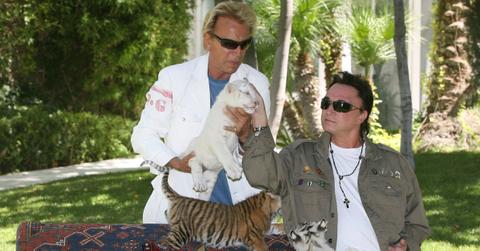 what happened to siegfried and roy tigers