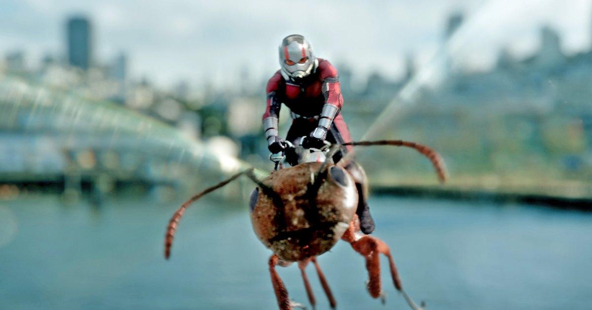 Paul Rudd as Ant-Man