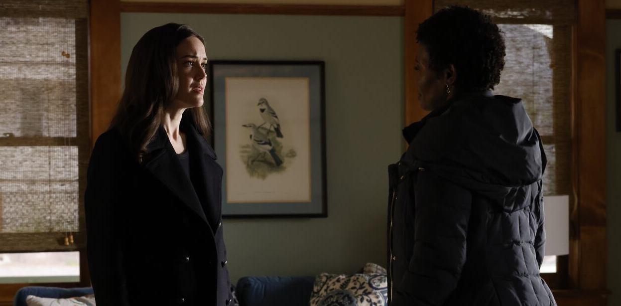 Does Anne Die in ‘The Blacklist?’