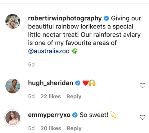 Robert Irwin Doesn't Currently Have a Girlfriend — Dating History Explored