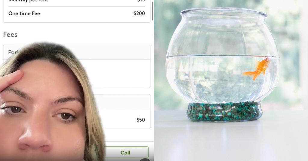 Woman Says Landlord is Charging Her "Pet Rent" for Fish