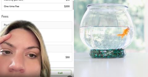 Woman Says Landlord is Charging Her "Pet Rent" for Fish