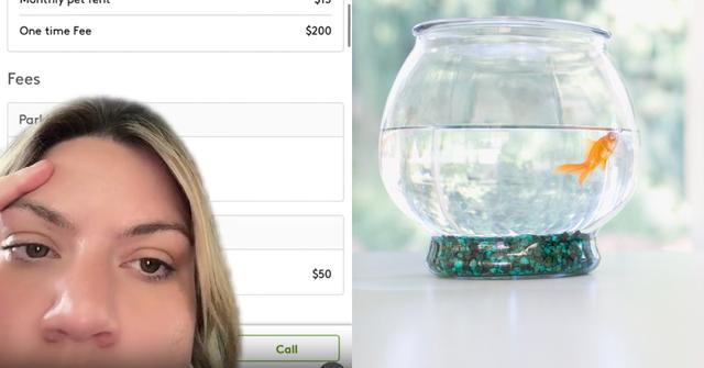Woman Says Landlord is Charging Her "Pet Rent" for Fish