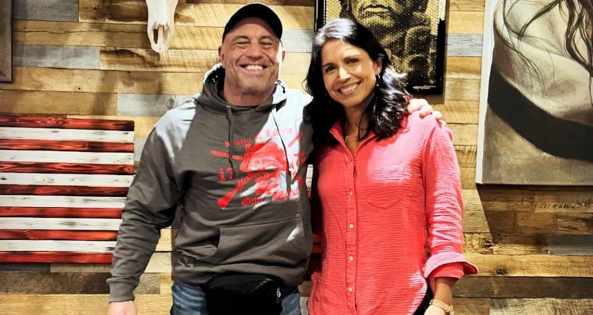 joe rogan tulsi gabbard