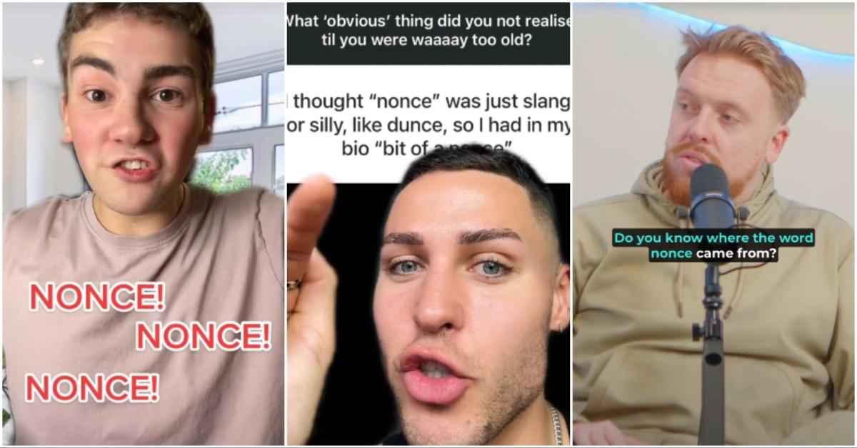 TikTok video screenshots of people explaining what nonce means 