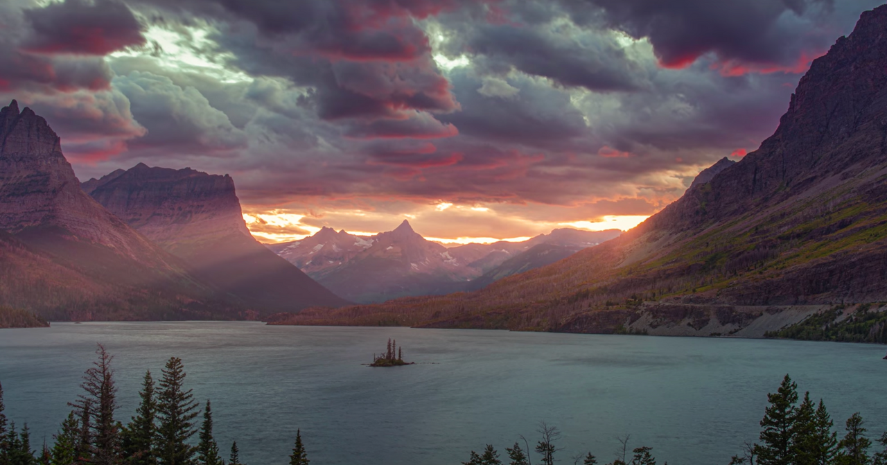 There’s a Certain Wallpaper That Will Kill Your Android Phone