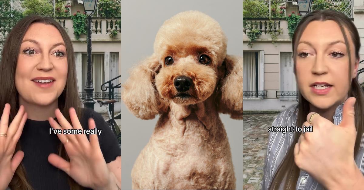 There Are Rules for Naming Your Dog in France