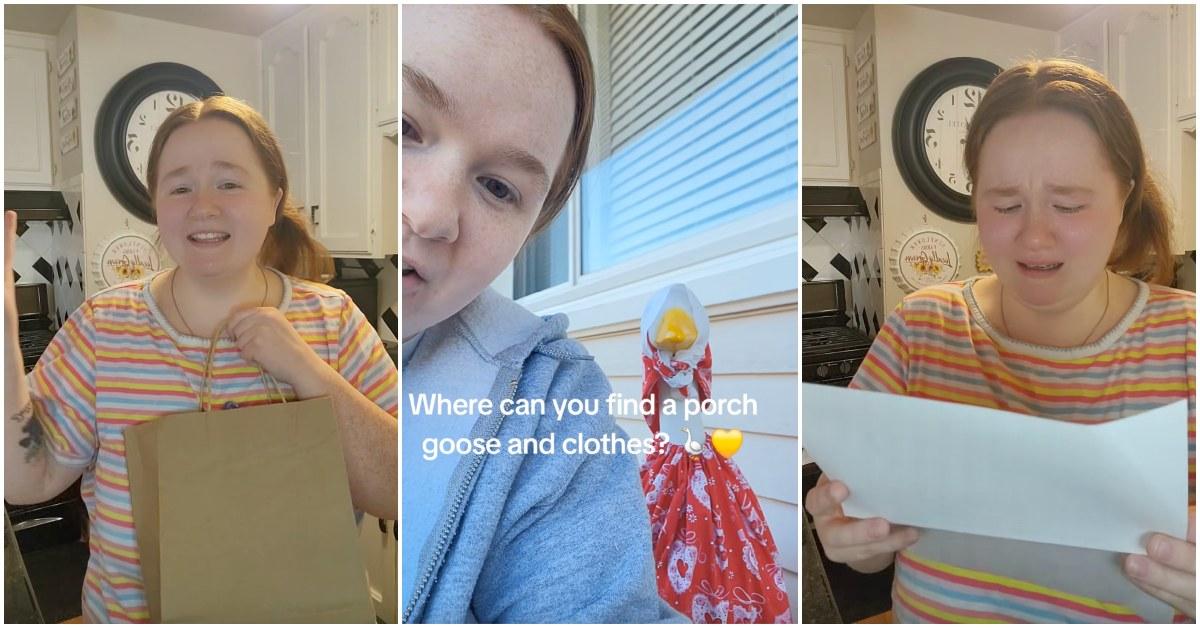 The Sweet Viral Porch Goose Story Connecting Two Neighbors