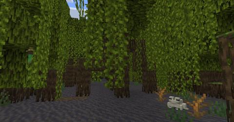 Mangrove Swamp in 'Minecraft'
