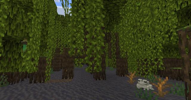 Mangrove Swamp in 'Minecraft'