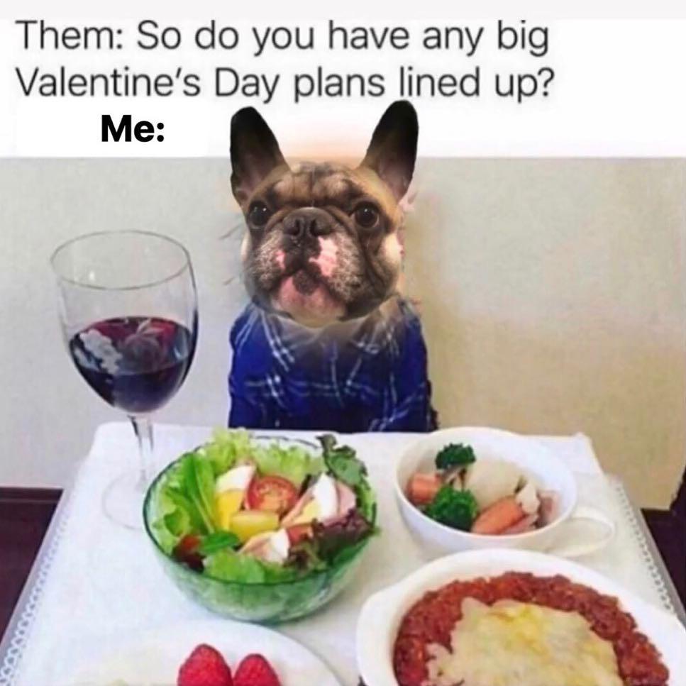 Singles Awareness Day Memes for the Anti-Valentine's Day Crowd