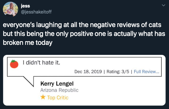 cats reviews