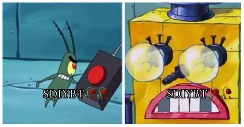 TikTok's "SDIYBT" trend