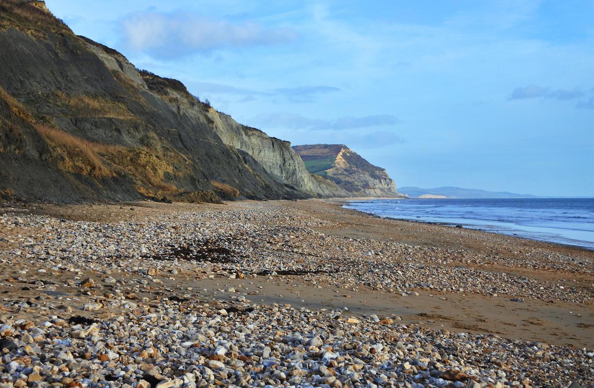 who is mary anning