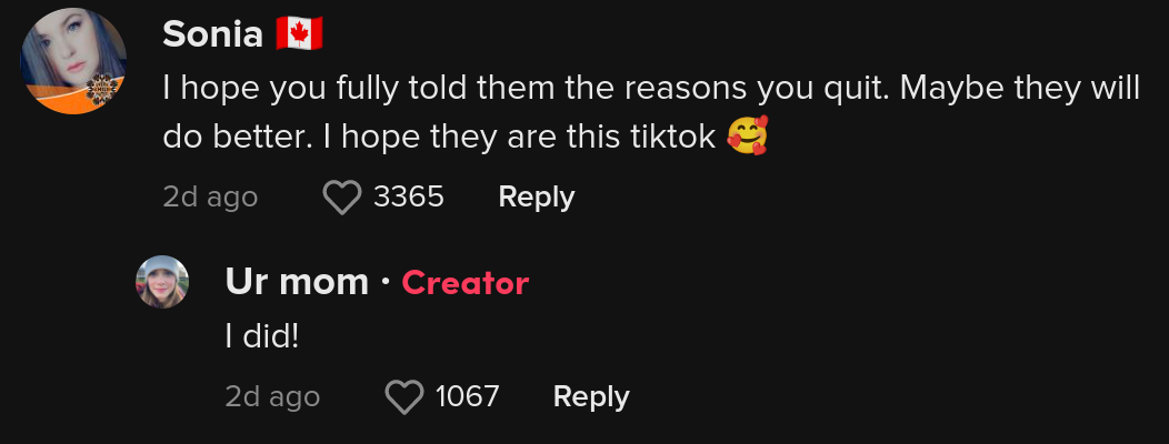 tiktoker quits job first day red flags