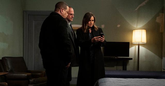 What Happened to Olivia Benson's Brother? We Revisit His Case in Season 22