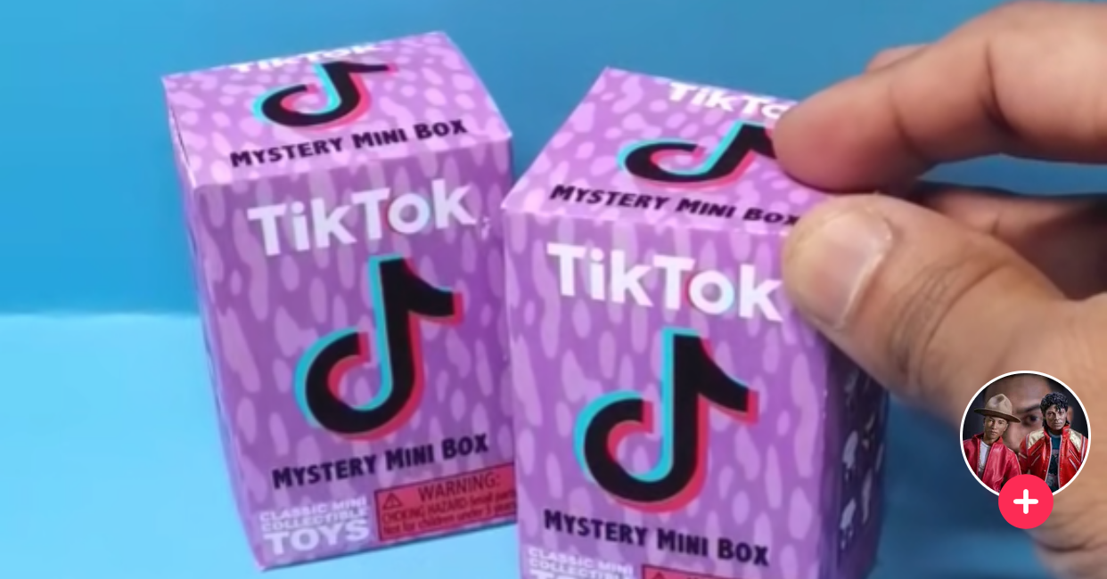 whats in a mystery box from ｜TikTok Search