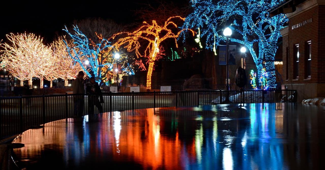 Christmas Lights Near Me Where to See Spectacular Holiday Lights