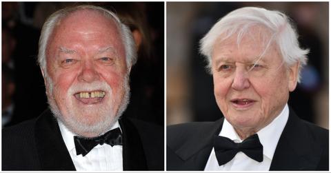 Are David and Richard Attenborough related?