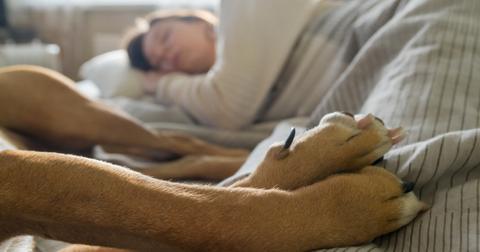 sleeping-in-bed-with-a-pet-dog-picture-id1063917780-1555682543765.jpg