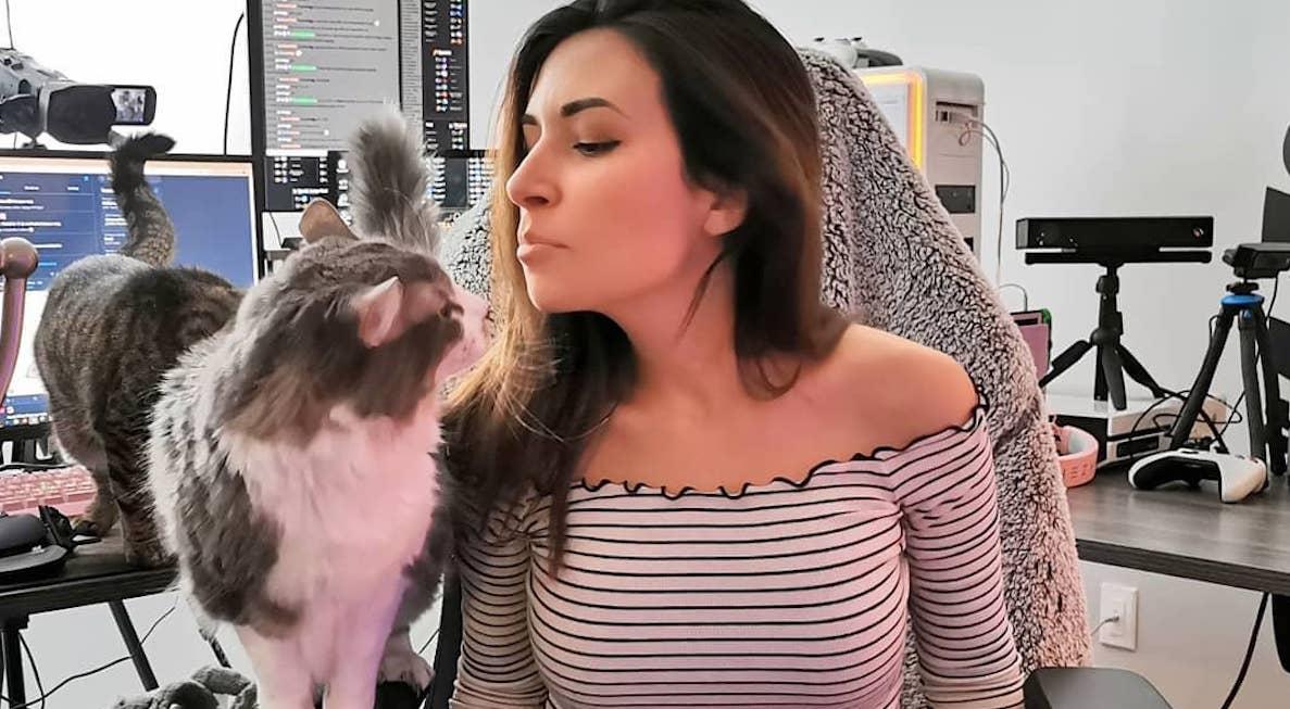 Alinity Shows D