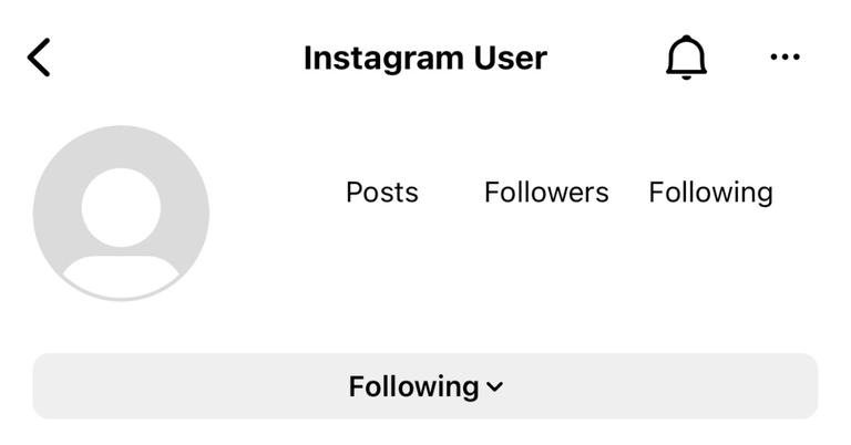 What Does From Profile Mean On Instagram