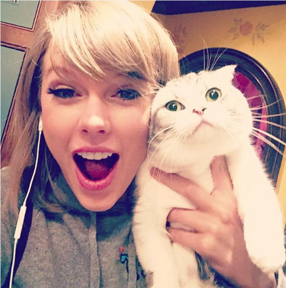 tay swift cat ig