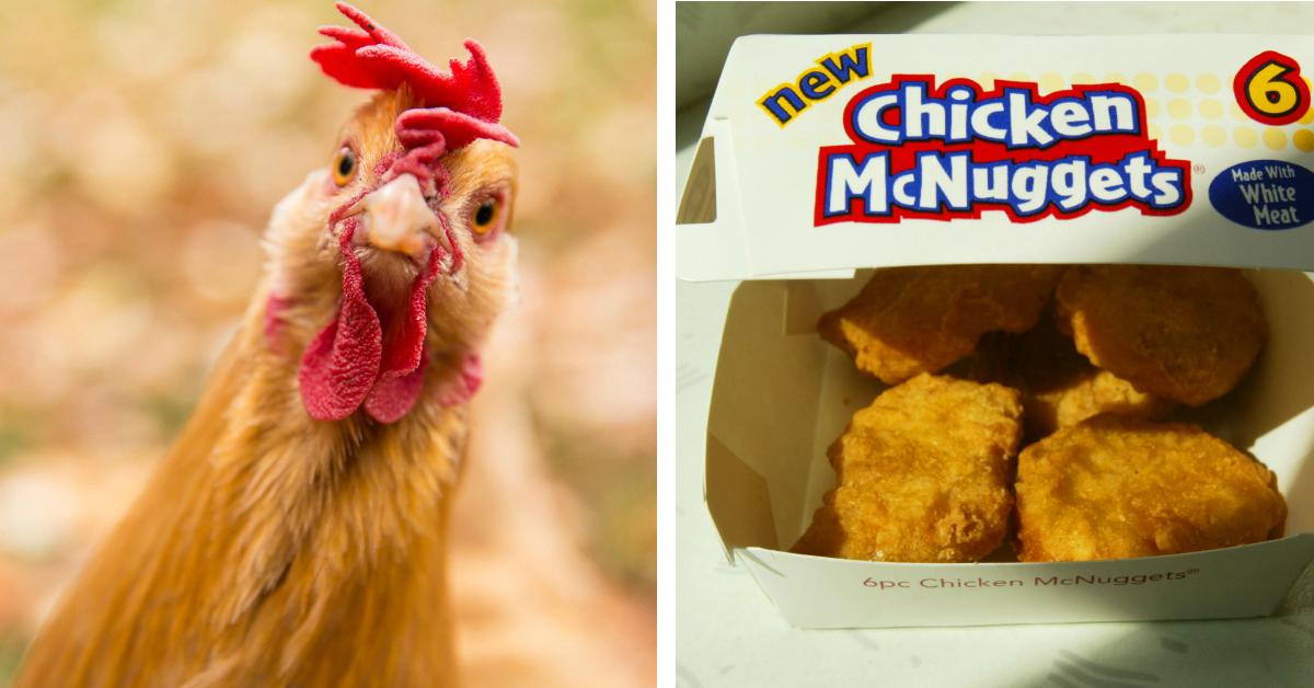 Mom Finds Feathers in Her Daughters McDonald's Fried Chicken