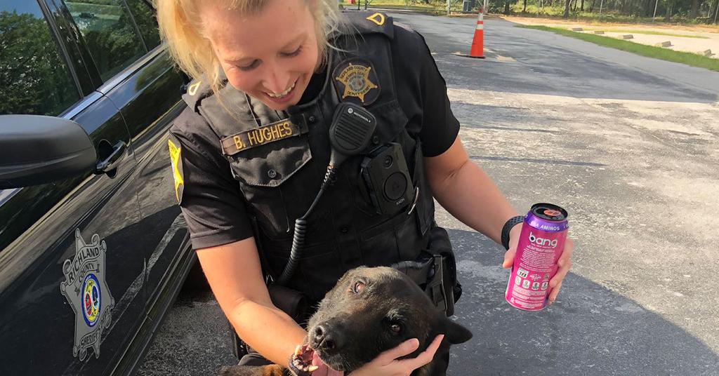 What Happened to the Dog on 'Live PD'? She Is Alive and Recovering