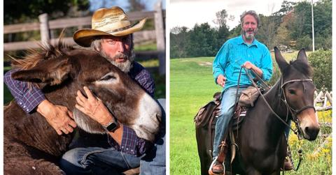 (L-R): Tom Green hugging a donkey; Tom Green riding a horse