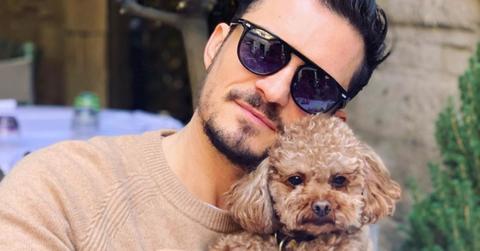 what happened to mighty the dog