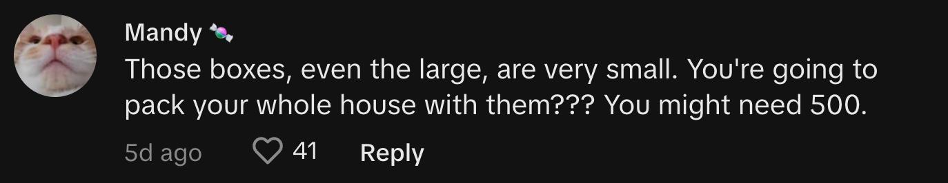 TikToker @cottonkandymandy commented, "Those boxes, even the large, are very small. You're going to pack your whole house with them??? You might need 500."