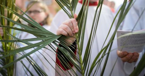 Palm Sunday palms