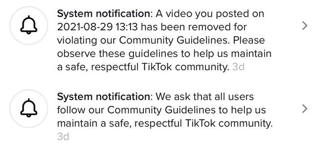 What Happens When You Report Someone S Video On Tiktok