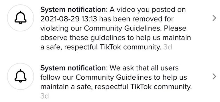 essay about tiktok on the internet are actually helpful