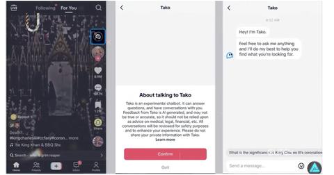Screenshots from TikTok's Tako AI chatbot