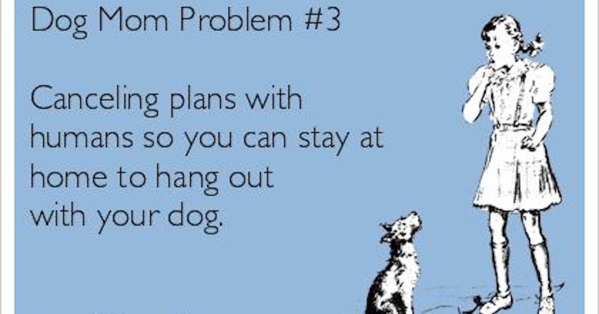 Happy Dog Mom Day! Memes to Celebrate the Best Day of the Year