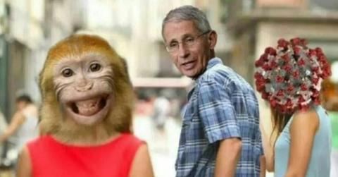 Monkeypox meme