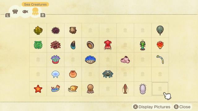 How To Go Diving On 'ACNH': Animal Crossing Sea Creatures Guide