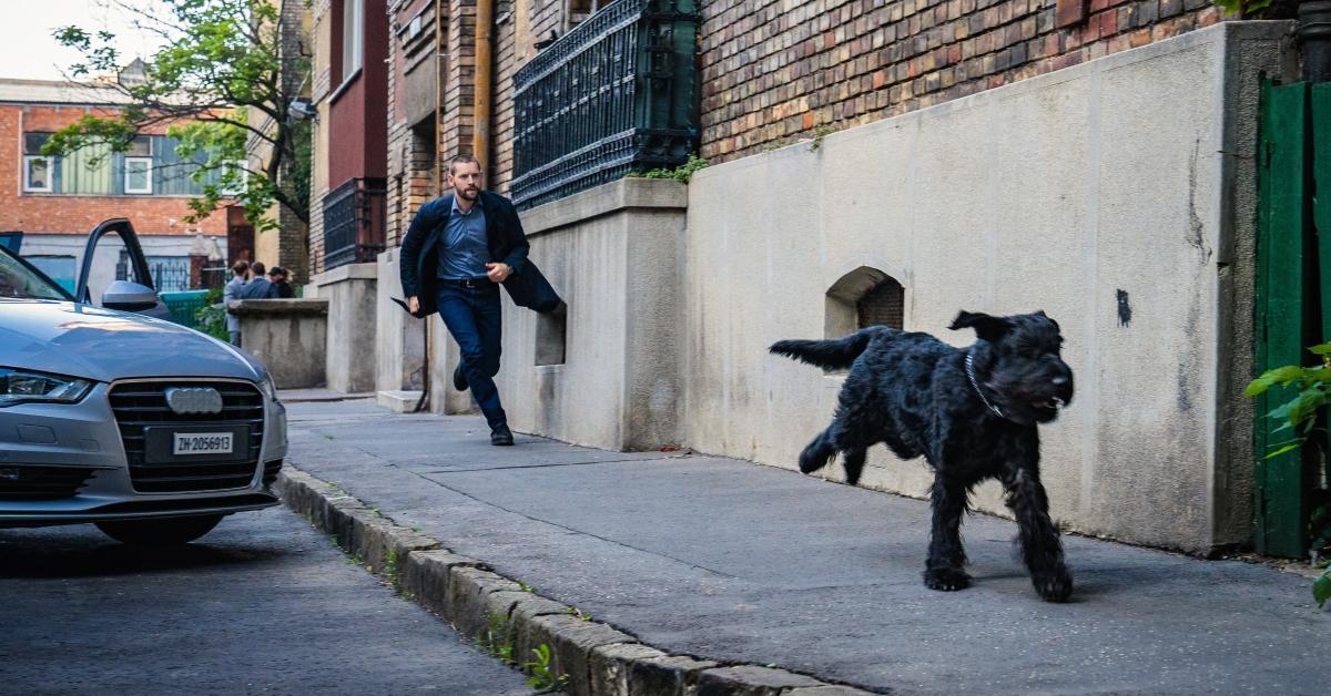 What Kind Of Dog Is Tank On Fbi International