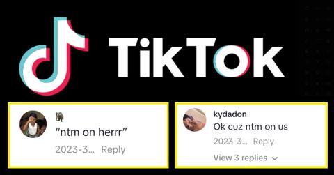 TikTok logo and two comments on TikTok using "NTM."