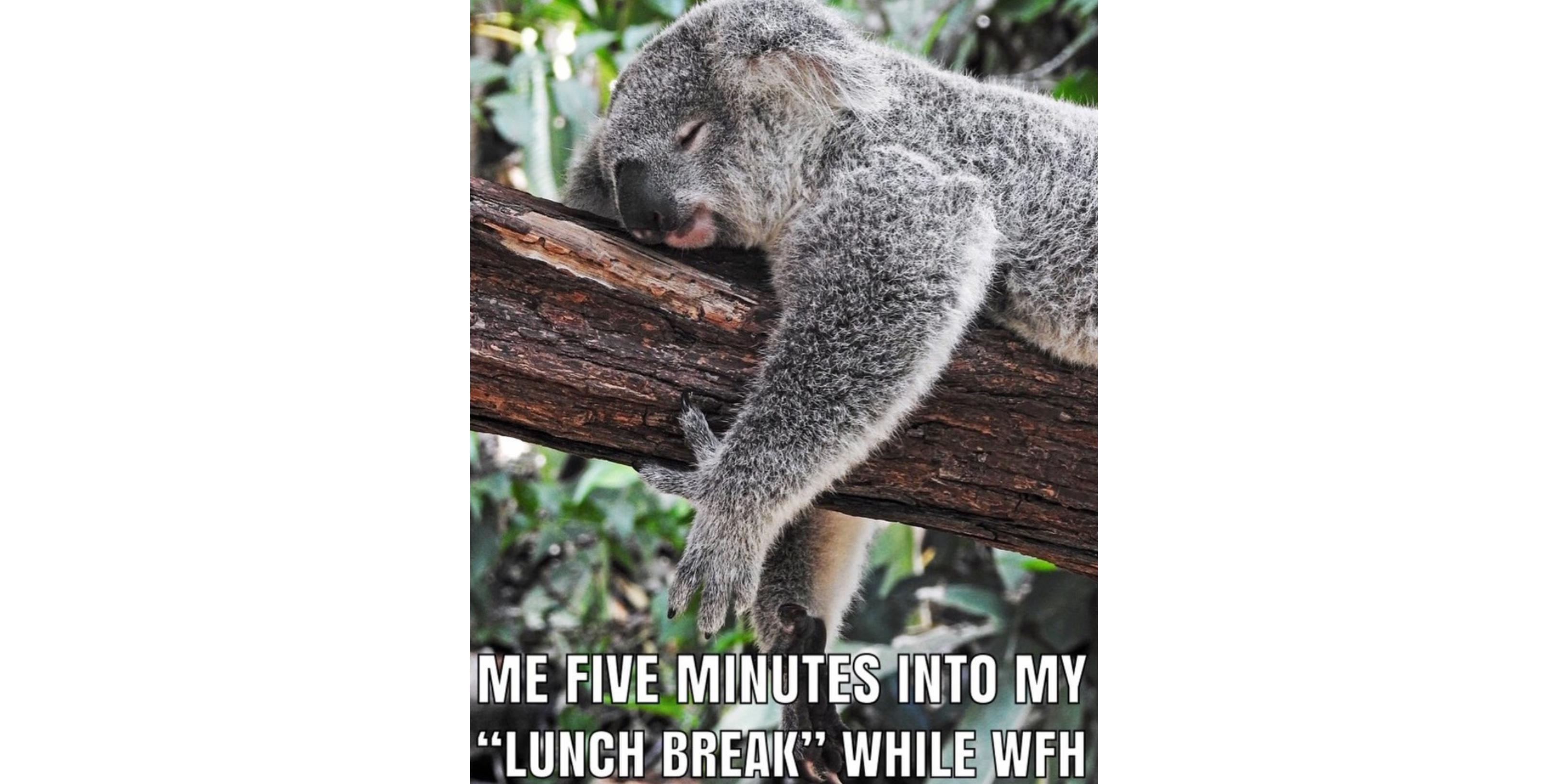 These Memes About Working From Home Will Make You LOL All By Yourself