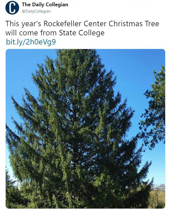 rockefeller tree