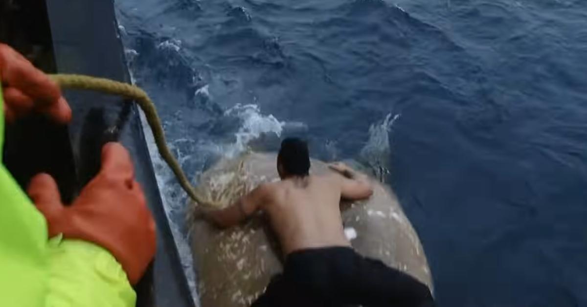 A scene from a 2013 episode of 'Deadliest Catch'