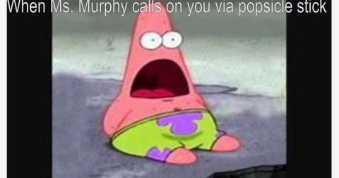 ms-murphy-memes-57-1560443049753.jpg
