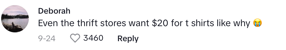 A commenter saying that thrift stores want $20 for t-shirts